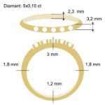 Diamantring Iselin med 5x0,10 ct TW-Si-85050100