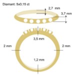Diamantring Iselin med 5x0,15 ct TW-Si-85050150