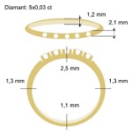 Diamantring Iselin med 5x0,03 ct TW-Si-8505030