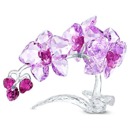 Swarovski figur Crystal Flowers Orchid - 5520373 Swarovski figur Crystal Flowers Orchid - 5520373