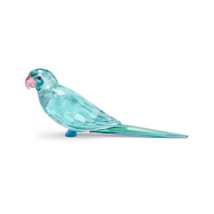 Swarovski figurer Jungle Beats Blue Parakeet Paco - 5574519 Swarovski figurer Jungle Beats Blue Parakeet Paco - 5574519