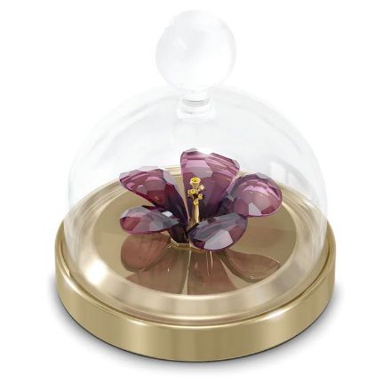 Swarovski figurer Garden Tales Hibiscus Bell Jar - 5619224 Swarovski figurer Garden Tales Hibiscus Bell Jar - 5619224