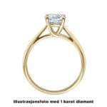 Enstens diamantring Alida 14 kt gull med 0,20 ct TW-Si.Magic Moments -18002020