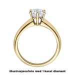 Enstens diamantring Violetta 14 kt gull med 0,20 ct TW-Si.Magic Moments -18003020