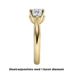 Diamantring forlovelsesring 0,25 ct i 14kt gull. Naima - 18009025