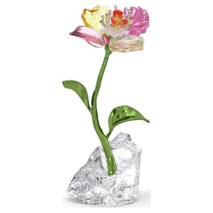 Swarovski figur Idyllia Flower, Small - 5639883 Swarovski figur Idyllia Flower, Small - 5639883