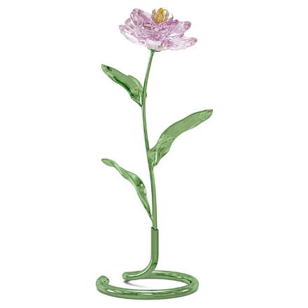 Swarovski figurer Florere Peony - 5668065 Swarovski figurer Florere Peony - 5668065