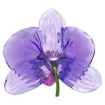 Swarovski figurer Idyllia SCS Orchid Petal - 5669354