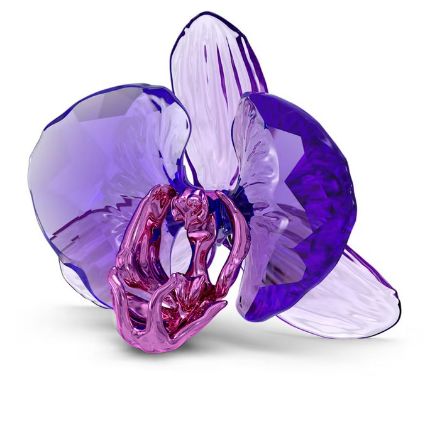 Swarovski figurer Idyllia SCS Orchid Petal - 5669354 Swarovski figurer Idyllia SCS Orchid Petal - 5669354