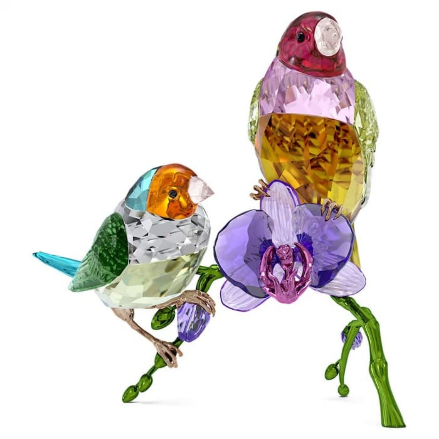 Swarovski figurer Idyllia SCS Annual Edition 2024 Gouldian Finches - 5670031