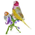 Swarovski figurer Idyllia SCS Annual Edition 2024 Gouldian Finches - 5670031