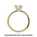 Enstens diamantring Melina med 0,25 ct i 14kt gull. TW-Si. -18011025