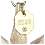 Swarovski figurer Annual Edition Festive 3D Ornament 2025 - 5701505