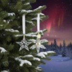 Swarovski figurer Annual Edition 3D Ornament Set 2025 - 5701628