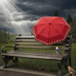 Bunadsparaply rød, Trønder - 0701000266