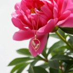 Diamantsmykke i gull med diamanter 0,038 ct W-Si - 234373