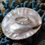 Diamantring Iselin med 0,05 ct TW-Si-8501005