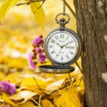 Bonett lommeur antikk lokomotiv inkl. kjede - 445