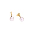 Diamantøredobber i gull med 0,02ct H/SI og perle - BUR721196