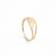 Gullring i 14 kt gult gull - Bur501490