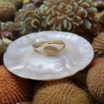 Gullring i 14 kt gult gull - Bur501490