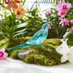 Swarovski figurer Jungle Beats Blue Parakeet Paco - 5574519