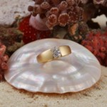 Diamantring i 14kt gult gull med 0,070ct W-Si - Bur538398