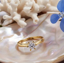 Bilde for kategori Forlovelsesring