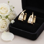 Diamantøredobber i gull med 0,16 ct W-Si - coc3763819gg