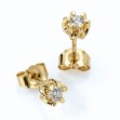 Sitara diamant øredobber med 2/0,10 ct W-Si-422110