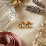 Diamantøredobber Evita med 2/0,10 ct W-Si-502100