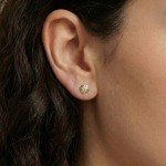 Diamantøredobber Evita med 2/0,10 ct W-Si-502100