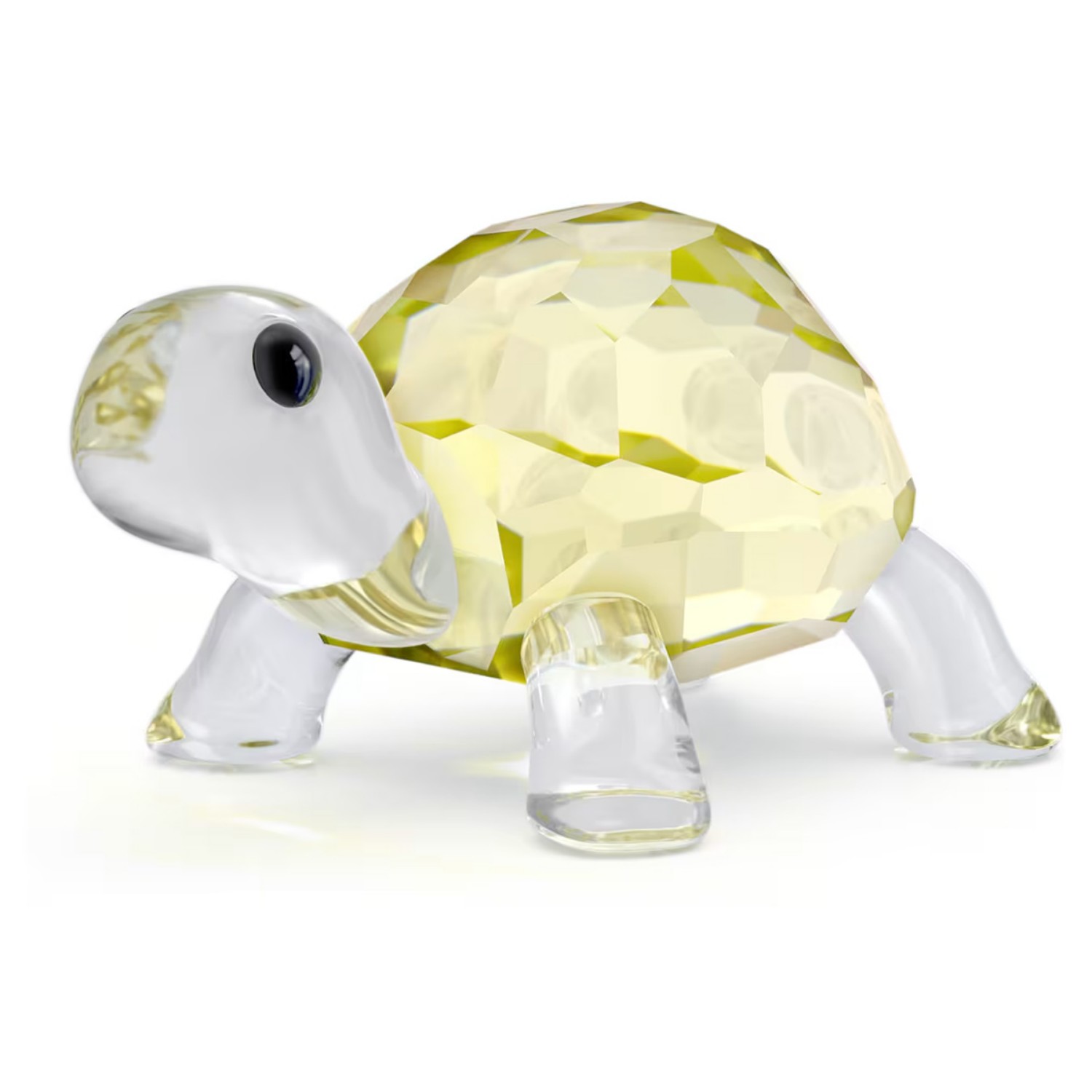 Swarovski figurer Idyllia Baby Tortoise - 5721550