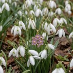 Smykke Lilla brudeslør i forgylt sølv. LIV - 860618