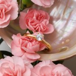 Enstens diamantring Alida med 0,20 ct TW-Si i 14kt gull - 18002020