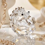 Swarovski Idyllia pinnsvinfigur i krystall - 5732808